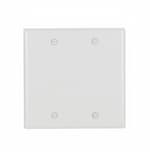 Eaton Wiring 2-Gang Blank Wall Plate, Standard Size, Thermoset, White