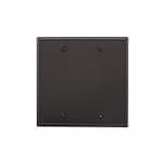 Eaton Wiring 2-Gang Blank Wall Plate, Standard, Black