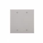 Eaton Wiring 2-Gang Blank Wall Plate, Standard, Gray