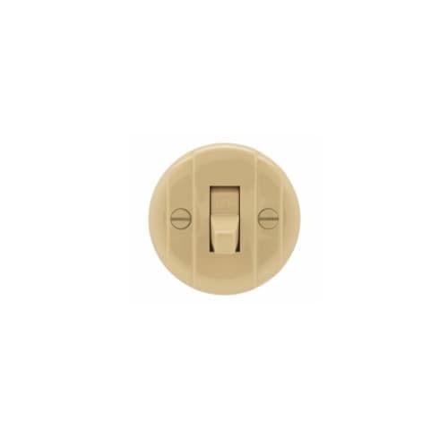 Eaton Wiring 10 Amp Surface Mount Toggle Switch, Single Pole, 250V, Ivory