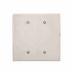 Eaton Wiring 2-Gang Blank Wall Plate, Oversize, Mounted, Steel