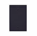 Eaton Wiring 1-Gang Blank Wall Plate, Mid-Size, Black