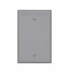 Eaton Wiring 1-Gang Blank Wall Plate, Mid-Size, Gray