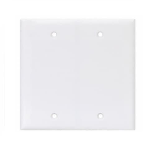 Eaton Wiring 2-Gang Blank Wall Plate, Mid-Size, Polycarbonate, White