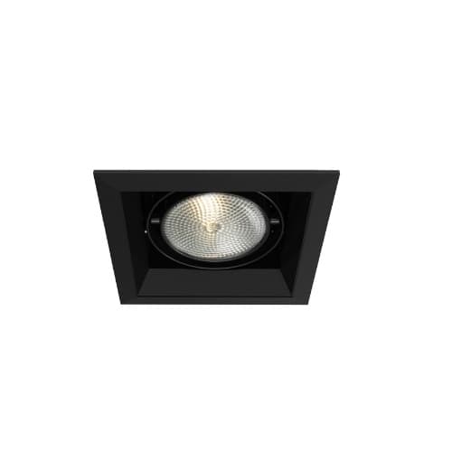 Eurofase 75W Recessed Light w/ Trim, 1-Light, PAR30, 120V, Black/Black