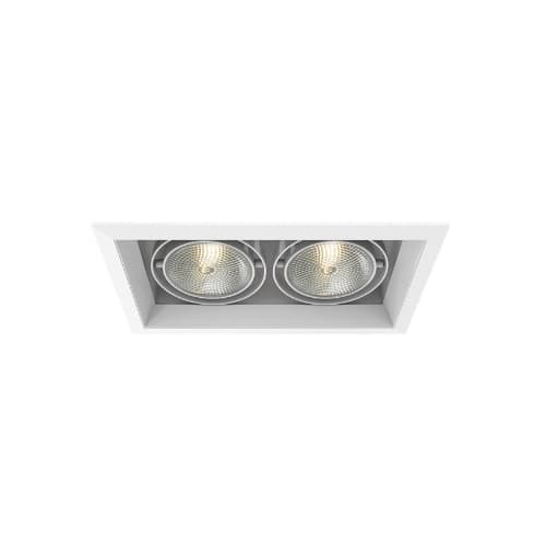 Eurofase 150W Recessed Light w/ Trim, 2-Light, PAR30, 120V, White/White