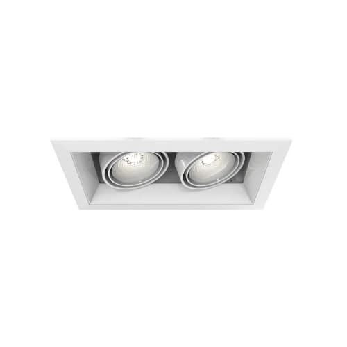 Eurofase 100W Recessed Light w/ Trim, 2-Light, PAR20, 120V, White/White