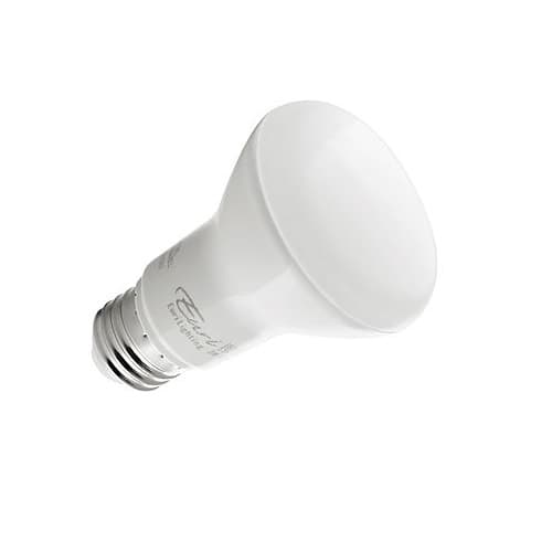 What is BR Light Bulb? | HomElectrical.com