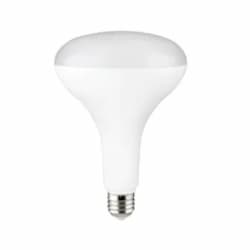 13W LED BR40 Essential Bulb, Flood, Dim, 80 CRI, E26, 120V, 2700K