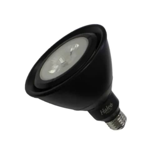 Halco 17W LED PAR38 Bulb, Narrow Flood, 90 CRI, 1370 lm, 120V, 2700K, Black