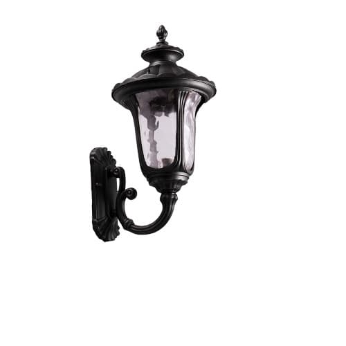 HomEnhancements 60W Coach Light w/ Bulb, 1-Light, Small, Water Glass, Matte Black