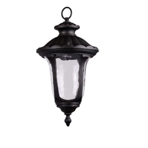 HomEnhancements 60W Hanging Coach Light, 1-Light, E26, Clear Glass, Matte Black