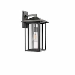 HomEnhancements Coach Light, Medium, 1-Light, E26, Clear Glass, Matte Black