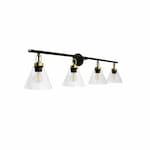 Vivio Siene Vanity Light w/ Clear Glass, 4-Light, E26, 120V, Black/Gold