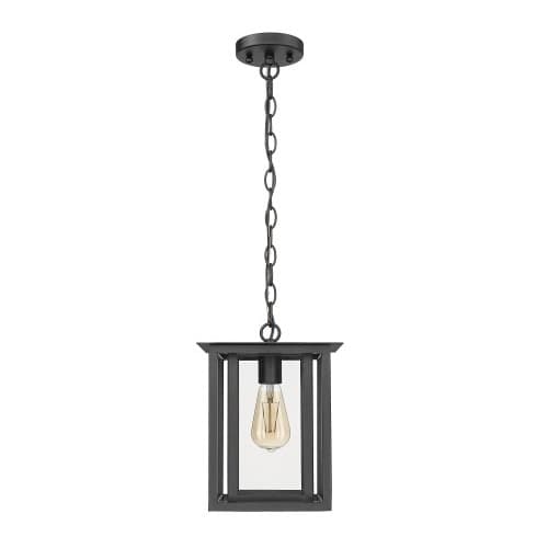 HomEnhancements Hanging Coach Light Fixture, 120V, Matte Black/Clear