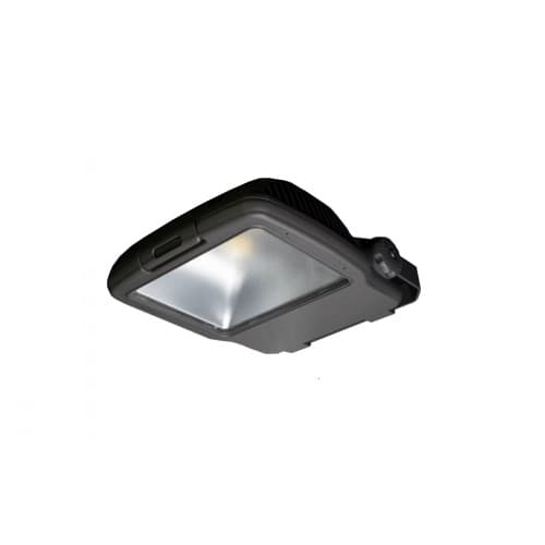 ILP Lighting 55W Medium LED Flood Light w/ LED Driver, Dimmable, 175W MH Retrofit, 6311 lm, 4000K