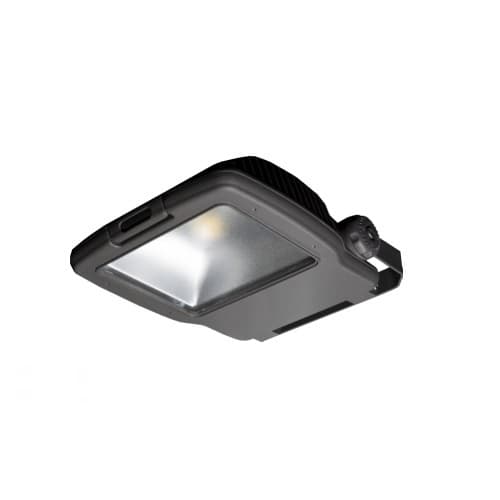 ILP Lighting 52W Field Replaceable Optic for CFM Flood Light, NEMA 4H x 4V