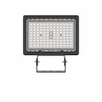 ILP Lighting 83W LED Flood Light w/Trunnion Mnt, Medium, 120V-277V, Selectable CCT