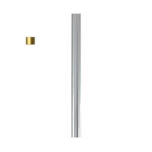 Matthews Fan 5-in Down Rod w/Replacement Coupling Cover, Polished Brass