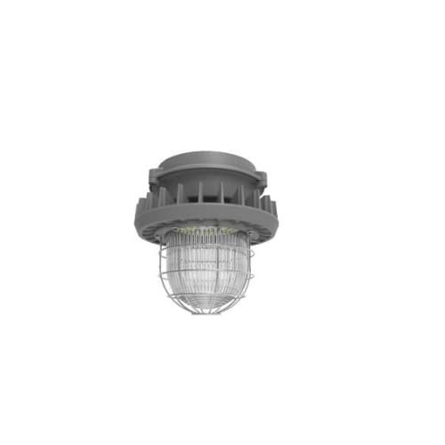 MaxLite 45W Hazard Rated LED High/Low Bay Light, 100W MH Retrofit, 5760 lm, 5000K, Grey