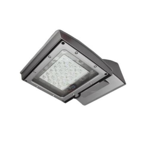MaxLite 55W LED Shoebox Area Light, Type IV, 0-10V Dim, 250W MH Retrofit, 6200 lm, 4000K, Silver