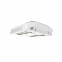 362W LED Horticulture Light, BPRX, 1236.2 BTU, 347V-480V, White