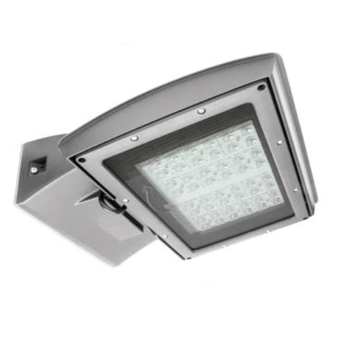 MaxLite 55W LED Shoebox Area Light, Type IV, 0-10V Dim, 250W MH Retrofit, 6250 lm, 3000K, Silver