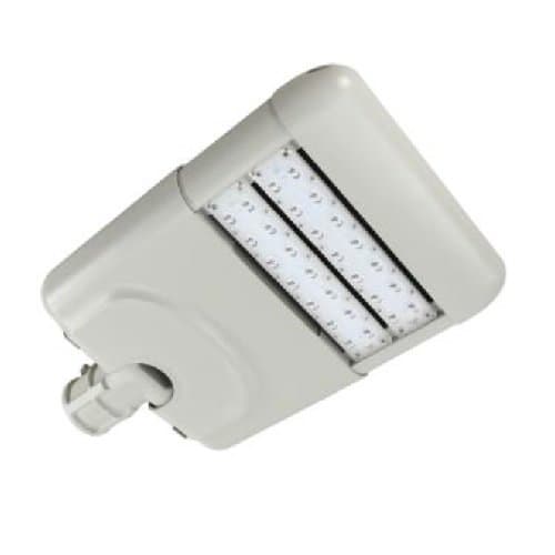 MaxLite 60 Watt 5000K LED Merak Roadway Light U150F, 120-277V, Type 1, Gray