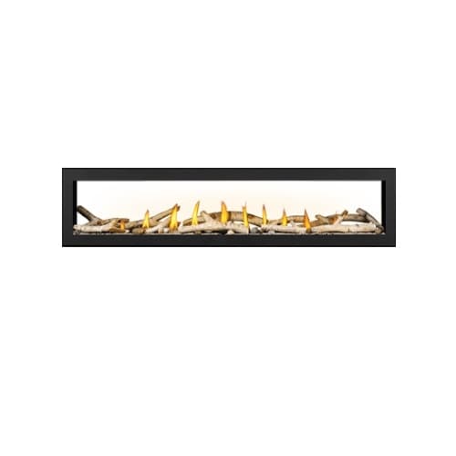 Napoleon 74-in Vector See Through Gas Fireplace, Direct, Propane