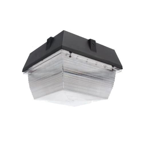 NaturaLED 40W LED Canopy Ceiling Mount Light, 3429 lm, 4000K, Bronze