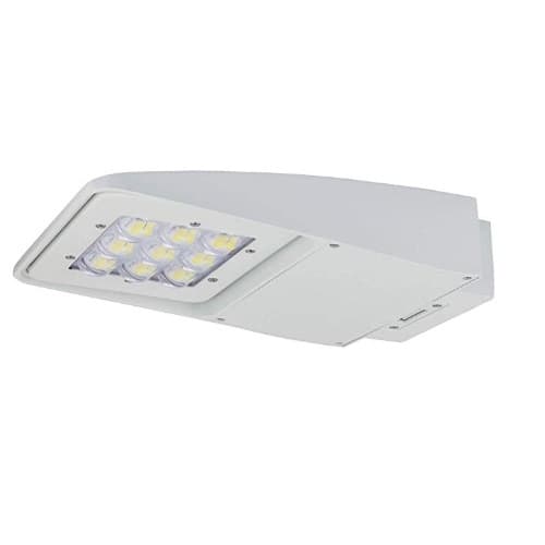 NaturaLED 29W LED Area Light, Dimmable, White, 4000K