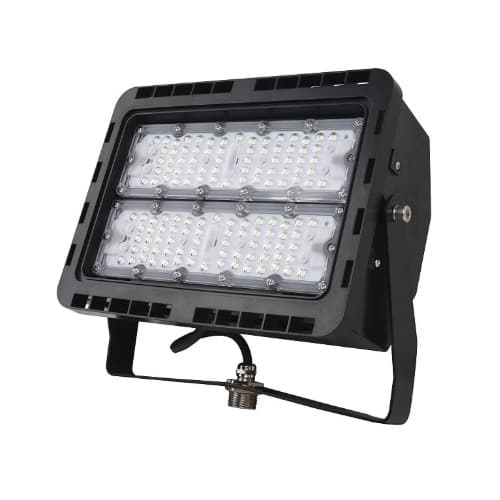 NaturaLED 50W LED Flood Light, Dimmable, 5000K