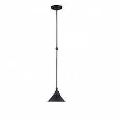 Nuvo 100W 45" Bridgeview Mini Pendant Light