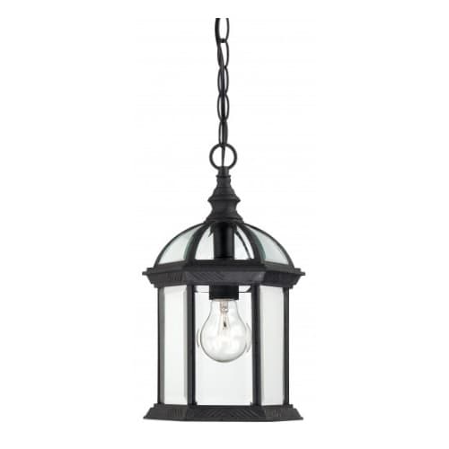 Nuvo 100W 14" Outdoor Hanging Light, Textured Black