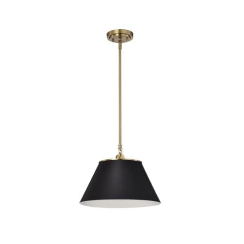 Nuvo 60W  Dover Pendant, 110V, Black/Vintage Brass, Medium