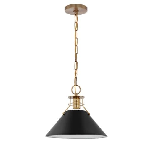 Nuvo 60W Phoenix Pendant, Medium, 120V, Black/Burnished Brass