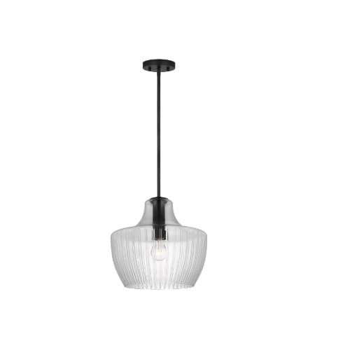 Nuvo Destin Medium Pendant Fixture w/o Bulb, Medium Base, Black/Silver