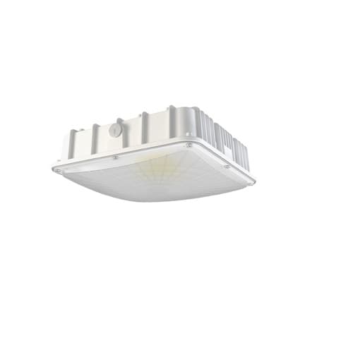 NovaLux 40W LED Canopy Light, 4800 lm, 120V-277V, 5000K