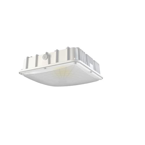 NovaLux 60W LED Canopy Light, 6900 lm, 120V-277V, 5000K