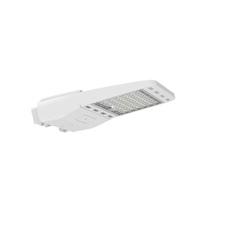 NovaLux 185W LED Shoebox Fixture, 27750 lm, 120V-277V, 5000K, White