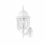 Nuvo 100W 17-in Banyan LED Outdoor Wall Lantern w/ Clear Water Glass, 1 Light, White