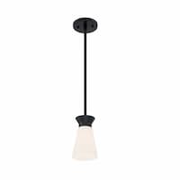 60W Caleta Series Mini Pendant Light w/ Cylindrical Glass, Black