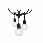 Satco 24-ft 24W LED String Light, 12 G25 Bulbs, 100 lm, 120V, 2200K, Black